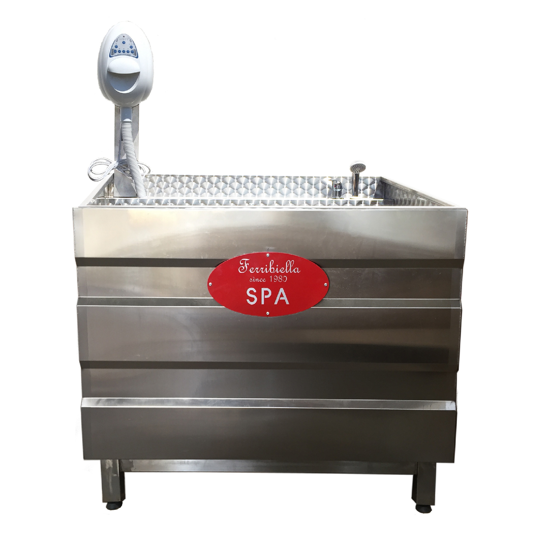 Stainless Steel SPA Tub with Ozone System