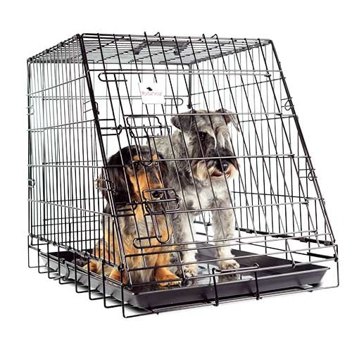 CAR PET CRATE