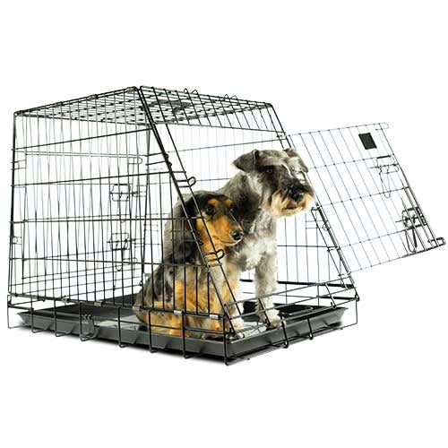 CAR PET CRATE