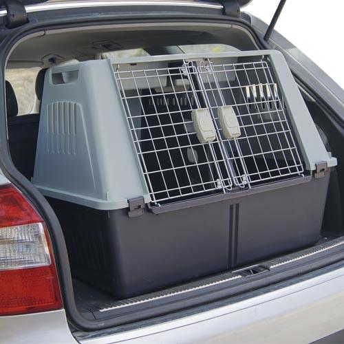 CAR PET CARRIER