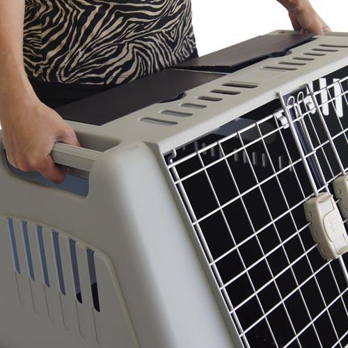 CAR PET CARRIER