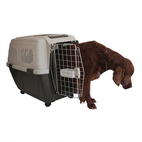 TRAVELLER PET CARRIER