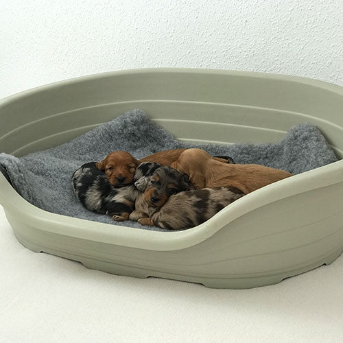 PLASTIC CRADLE BED