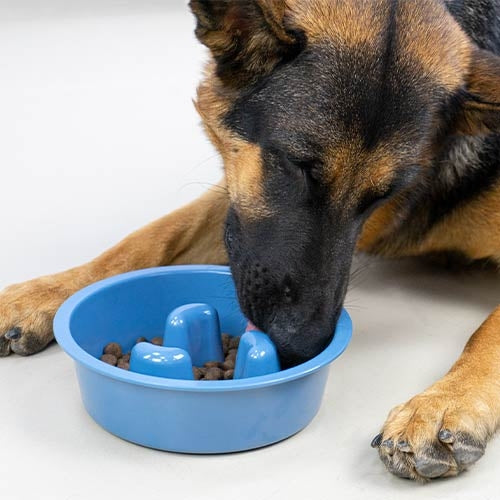 SLOW EATING MELAMINE FEEDER