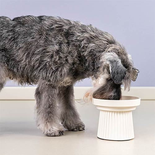 DORIC RAISED FEEDER - 550 ml