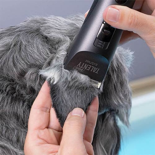 TALENTY PRO CLIPPER