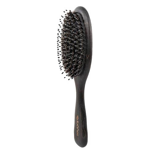 BRISTLE AND NYLON BRUSH