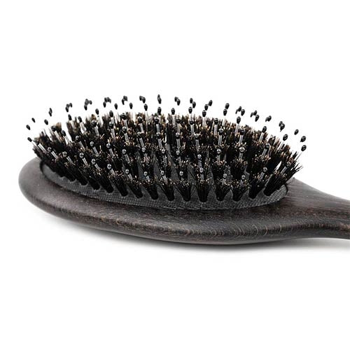 BRISTLE AND NYLON BRUSH