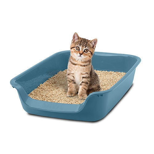 JUNIOR TOILET LITTER TRAY - 56 x 39 x 13 cm