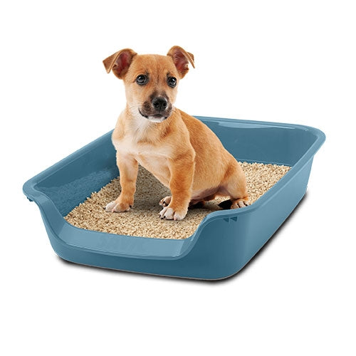 JUNIOR TOILET LITTER TRAY - 56 x 39 x 13 cm