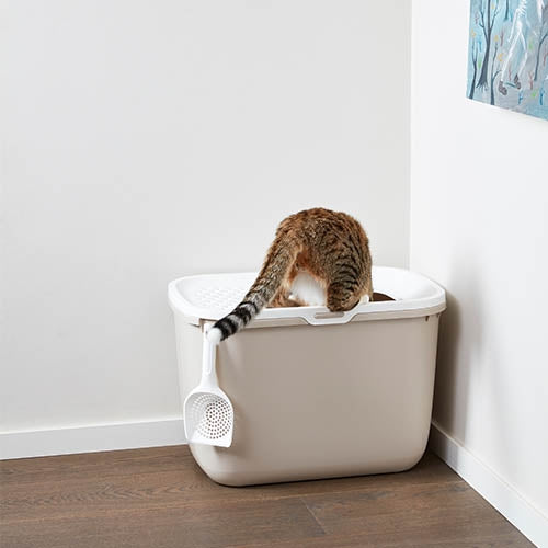 HOP IN LITTER BOX