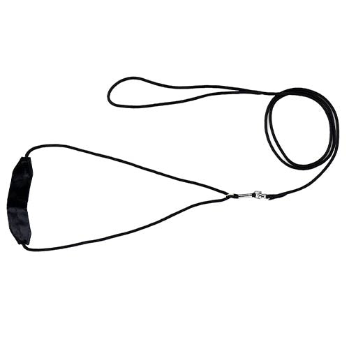 SILK BAND NYLON SHOW LEAD 0.3 x 150 cm