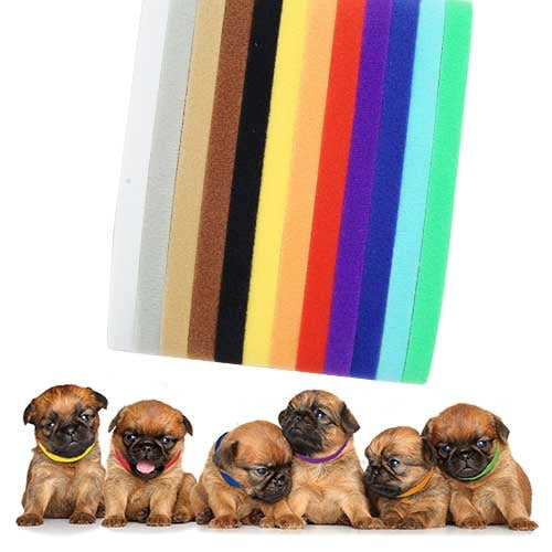 SET OF 12 COLLARS FOR PUPPIES