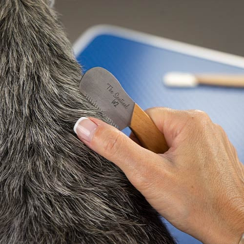 THE SENTINEL STRIPPING KNIFE