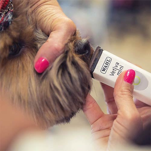 WAHL VETIVA MINI CLIPPER