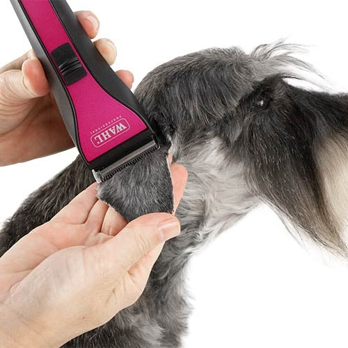 WAHL MOTIVA CLIPPER