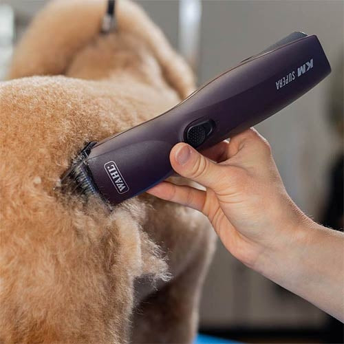 WAHL KM SUPERA