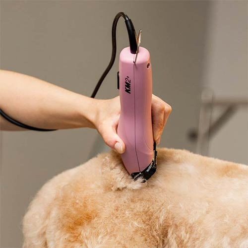 WAHL KM2+