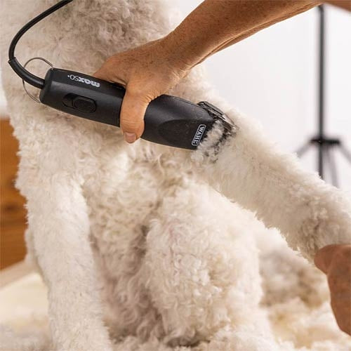 WAHL MAX 50+ CLIPPER