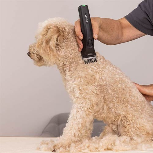 WAHL ARCO PRO CLIPPER