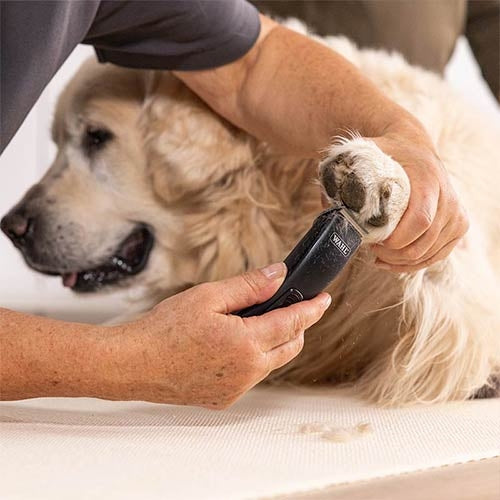 WAHL PRIMA CLIPPER