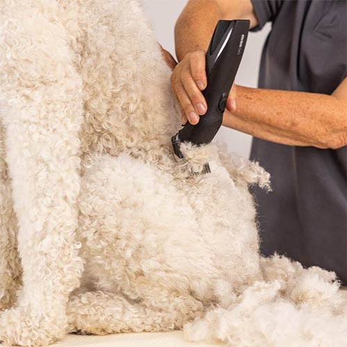 WAHL MAXGO CLIPPER