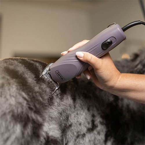 Wahl KM10+
