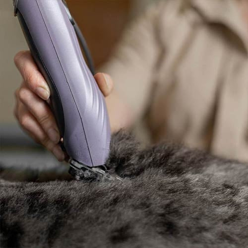 Wahl KM10+