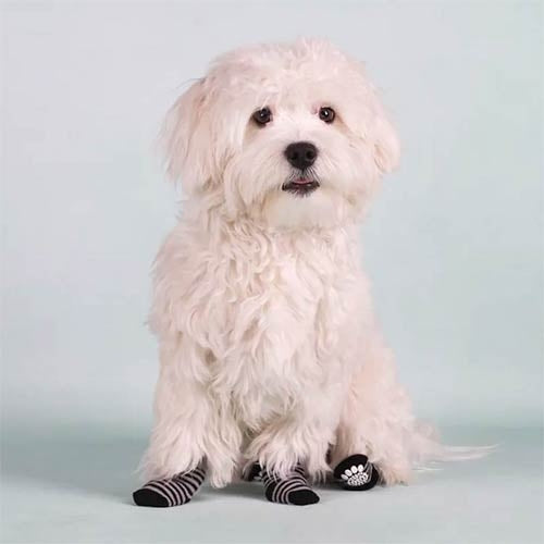 ANTI SLIP SOCKS
